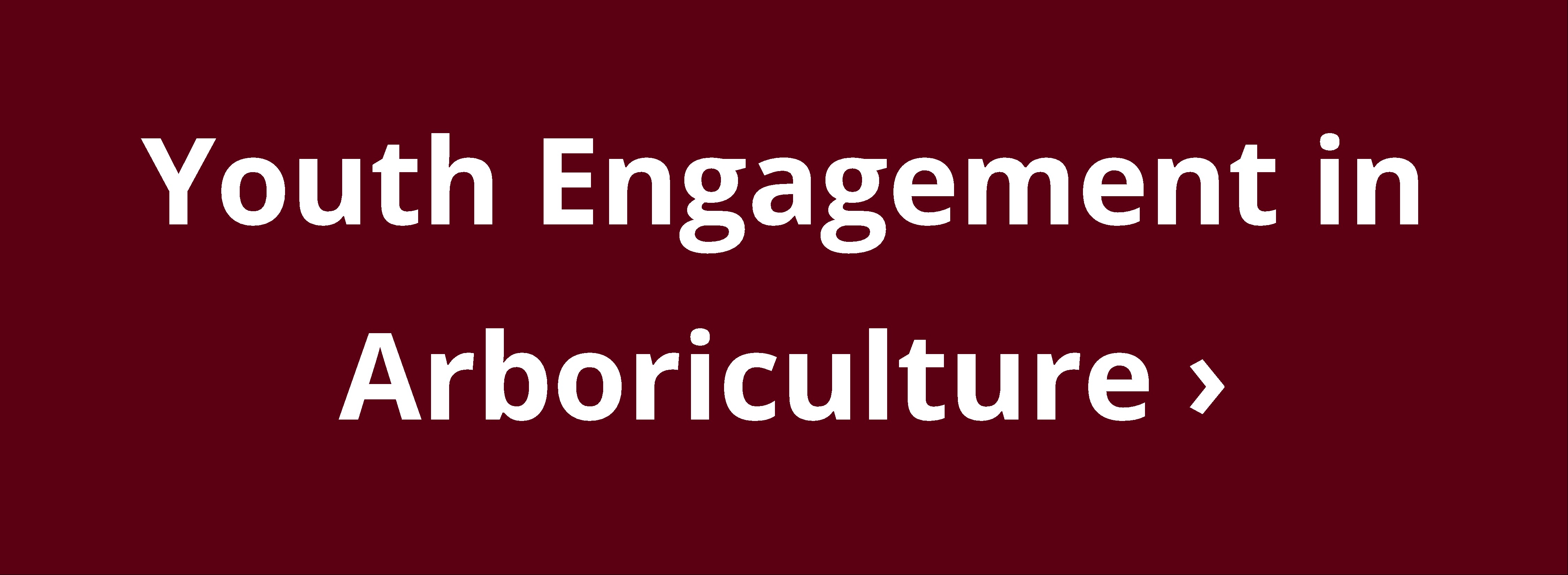 Youth engagement in arboriculture