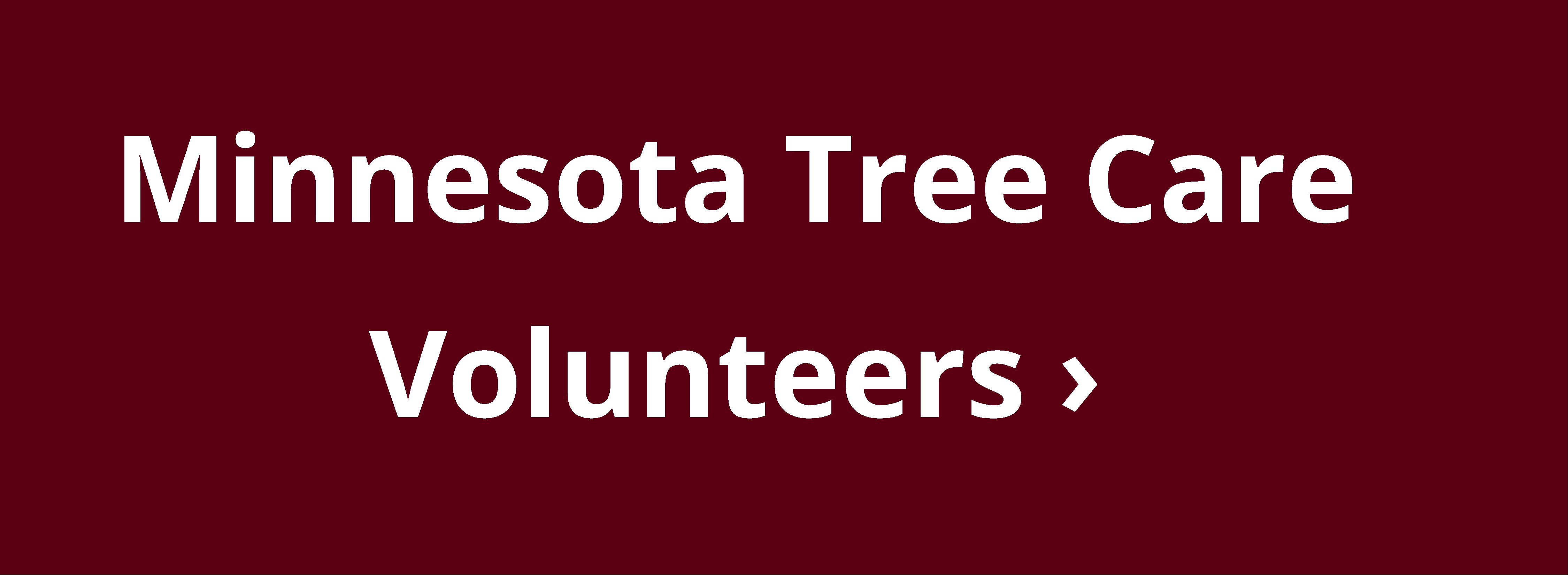 Minnesota Tree Care Volunteers button