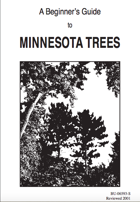 Beginners Guide to Tree ID