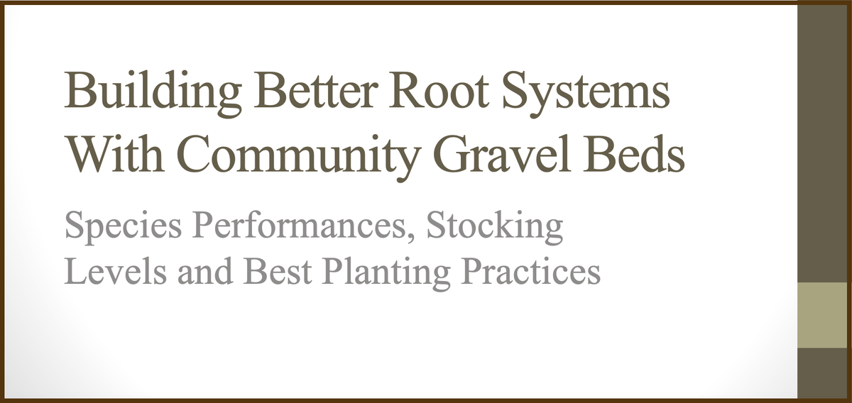 Building Better Root Systems with Community Gravel Beds