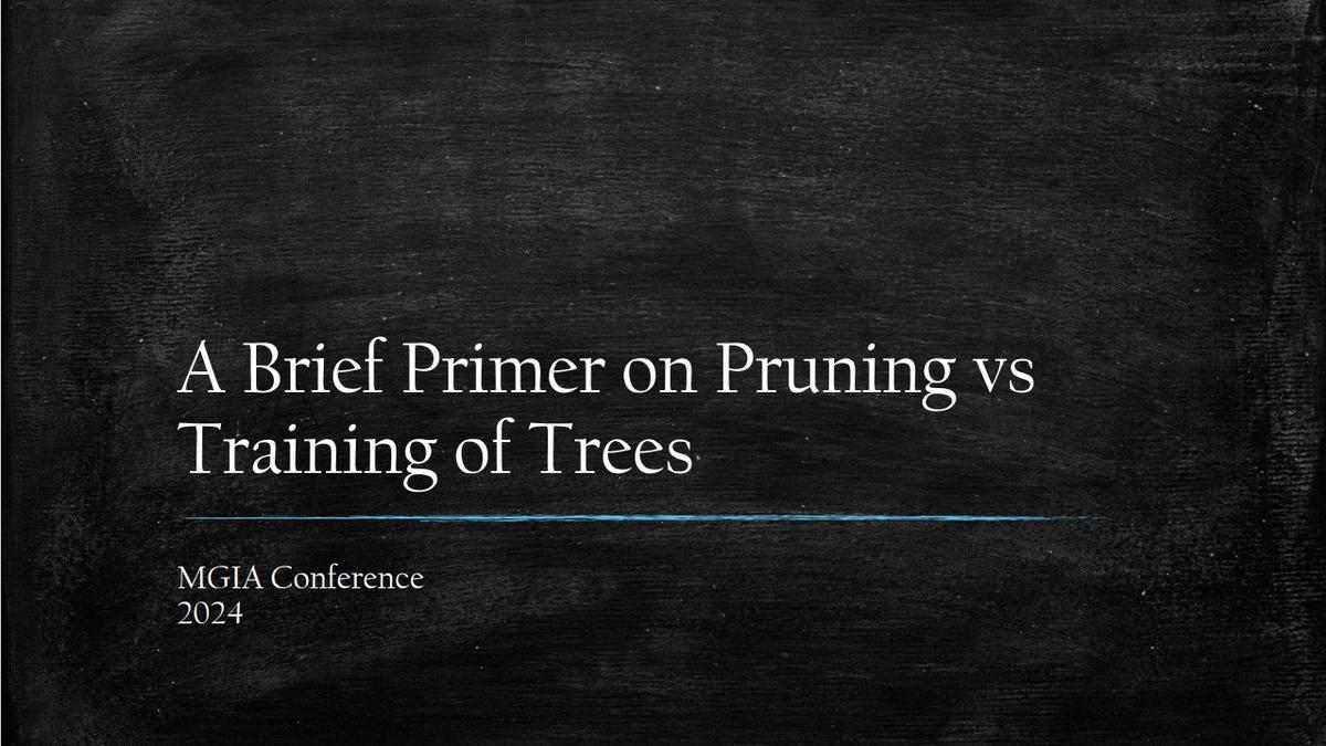 A brief primer on pruning vs training of trees