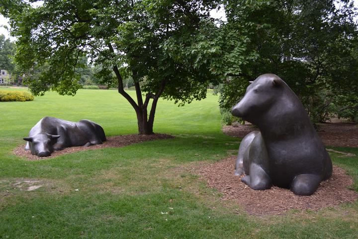Resting bovines sculpture