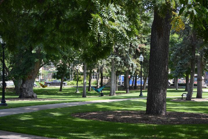 East bank area with hammock hanging on two trees
