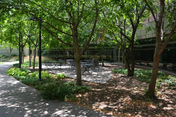 seating area under shade trees on West Bank