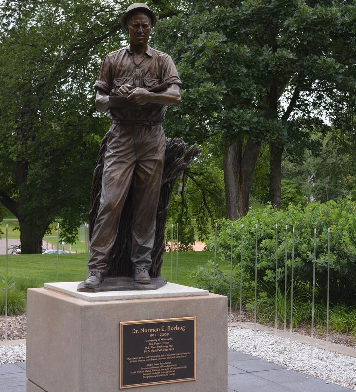 Statue of Norman E. Borloug on the St. Paul campus